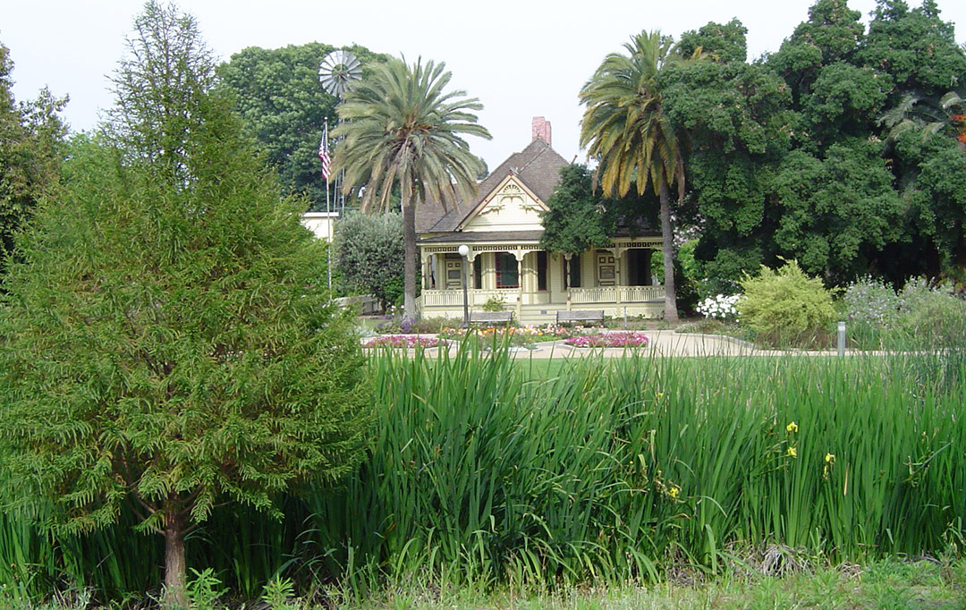 Fullerton Arboretum